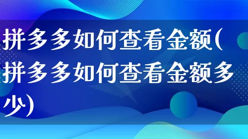 拼多多如何查看金额(拼多多如何查看金额多少)_https://www.qujiang-marathon.com_竞品分析_第1张