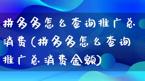 拼多多怎么查询推广总消费(拼多多怎么查询推广总消费金额)_https://www.qujiang-marathon.com_竞品分析_第1张