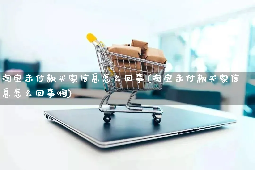 淘宝未付款买家信息怎么回事(淘宝未付款买家信息怎么回事啊)_https://www.qujiang-marathon.com_产品报表_第1张