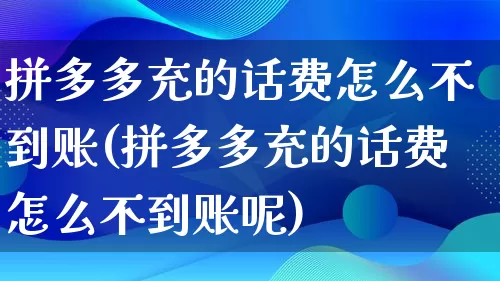 拼多多充的话费怎么不到账(拼多多充的话费怎么不到账呢)_https://www.qujiang-marathon.com_竞品分析_第1张